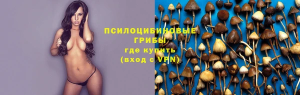прущая мука Зеленокумск