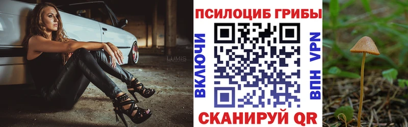 блэк спрут маркетплейс  купить  сайты  Щучье  Галлюциногенные грибы мухоморы 